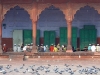 agr-pigeons-at-jama-masjid.jpg