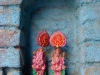 amr-ganesh-and-friend.jpg
