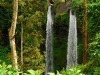 aru-waterfall-in-the-trees.jpg