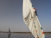 asw-our-felucca.jpg