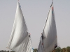 asw-twin-sails.jpg
