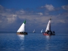 baz-dhows-in-the-sun.jpg