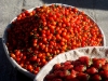 dal-tomatoes-and-strawberries.jpg