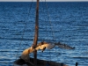ilh-resting-dhow.jpg