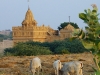 jai-jain-temple-and-cows.jpg