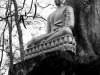 lua-buddha-in-the-trees.jpg