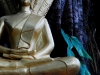 lua-jungle-buddha.jpg