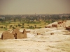 lux-green-fields-of-luxor.jpg
