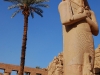 lux-the-pharaoh-and-the-palm.jpg