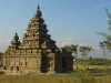 mam-shore-temple.jpg