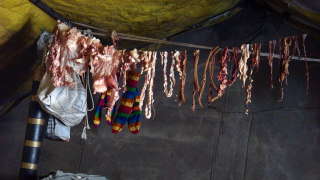 Entrails for dinner anyone?