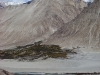 nubra-valley-3.jpg