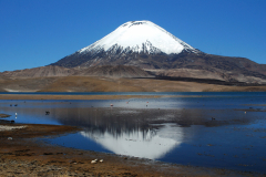Parque Lauca