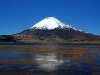 lau-lauca-parque.jpg