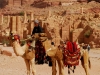 pet-camel-taxis.jpg