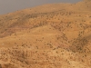 pet-golden-hills-of-wadi-musa.jpg