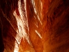 pet-sunlit-canyon.jpg
