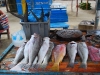 pue-fresh-fish.jpg