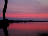 sip-fuschia-river.jpg