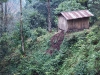 sik-forest-hut.jpg
