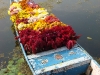 flower-boat.jpg
