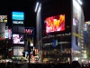 shibuya.jpg