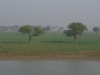 var-bihar-landscape.jpg