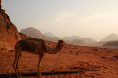 Wadi Rum