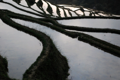 Yuanyang Rice Terraces
